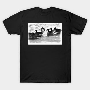 Canada Geese in Black & White. T-Shirt